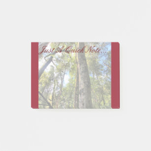 Australian Rainforest Eucalyptus Gum Träd Post-it Block