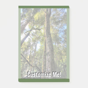 Australian Rainforest Eucalyptus Gum Träd Post-it Block