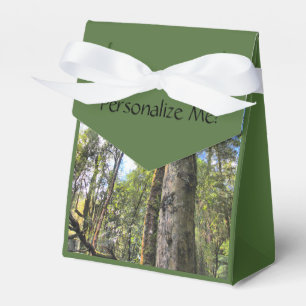Australian Rainforest Eucalyptus Gum Träd Presentaskar