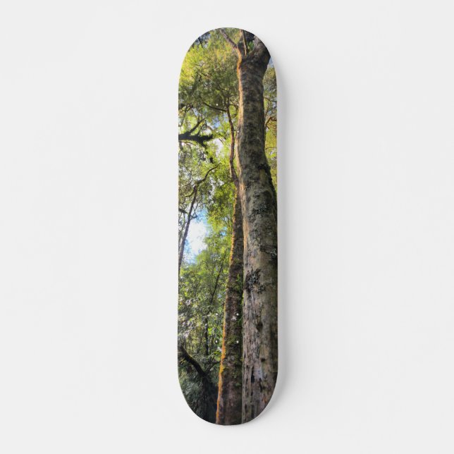 Australian Rainforest Eucalyptus Gum Träd Skateboard Bräda 20 Cm (Framsida)