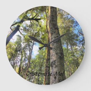 Australian Rainforest Eucalyptus Gum Träd Stor Klocka
