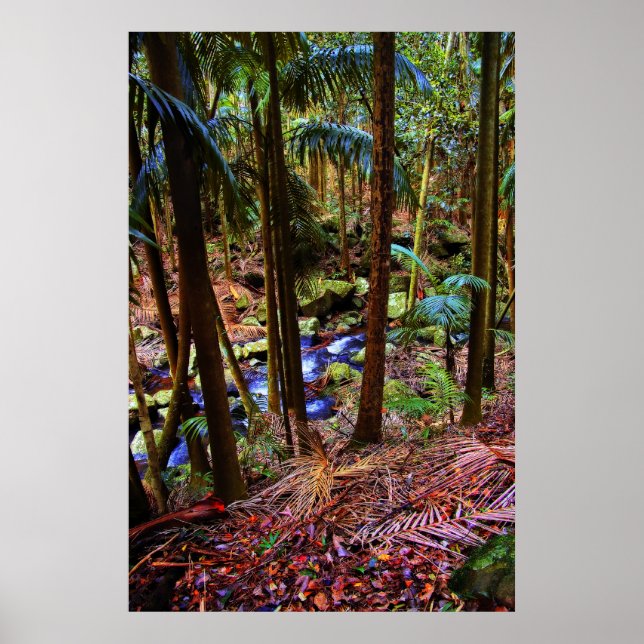 Australian Rainforest Poster (Framsidan)