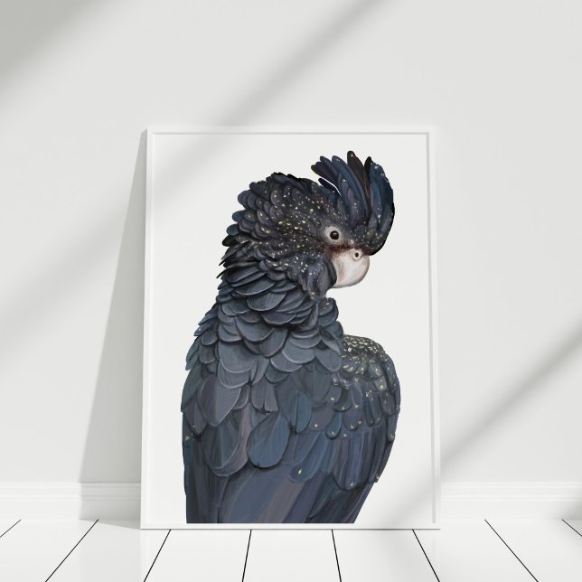 Australian Red-Tails Black Cockatoo Poster (Australian Red-Tailed Black Cockatoo Poster in white frame on white wooden floor.)