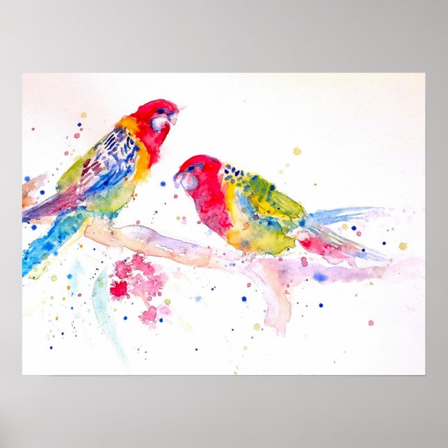 Australian Rosella Parrot Watercolor art Poster (Framsidan)