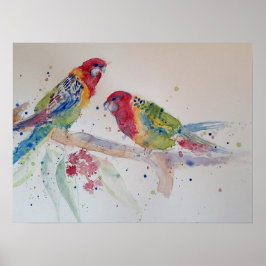 Australian Rosella Parrot Watercolor art Poster