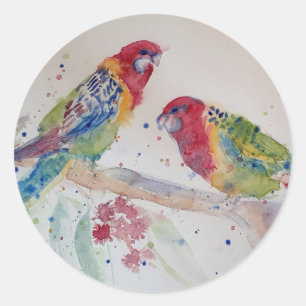 Australian Rosella Parrot Watercolor art Runt Klistermärke