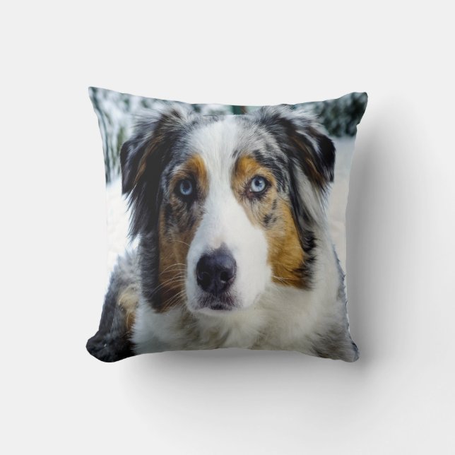 Australian Shepard i Snö Kudde (Framsida)