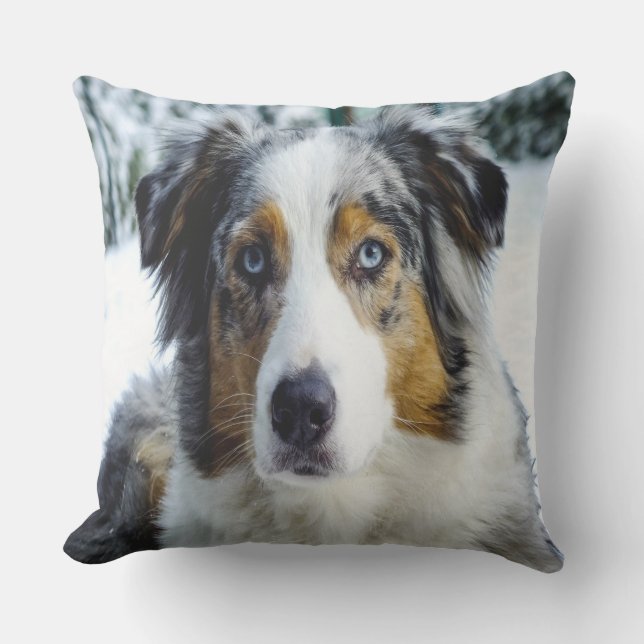 Australian Shepard i Snö Kudde (Framsida)