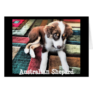 Australian Shepard Puppy gör din egen Anpassningsb Hälsningskort
