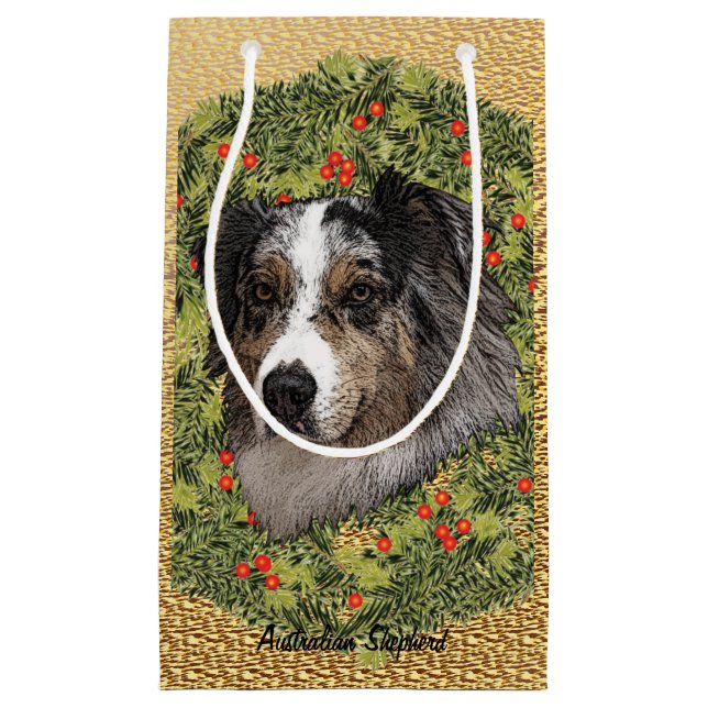 Australian shepherd (Framsidan)