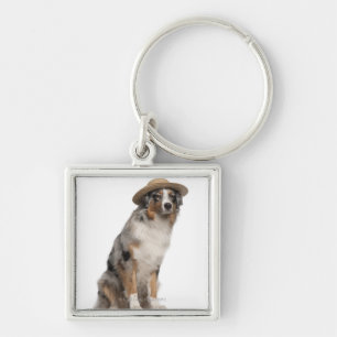 Australian shepherd (10 gammala månader) som ha p fyrkantig silverfärgad nyckelring
