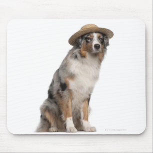 Australian shepherd (10 gammala månader) som ha p musmatta
