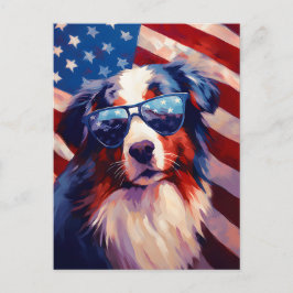 Australian shepherd 4 juli Independence day Vykort