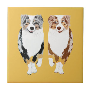Australian shepherd 4" keramiskt belägger med kakelplatta