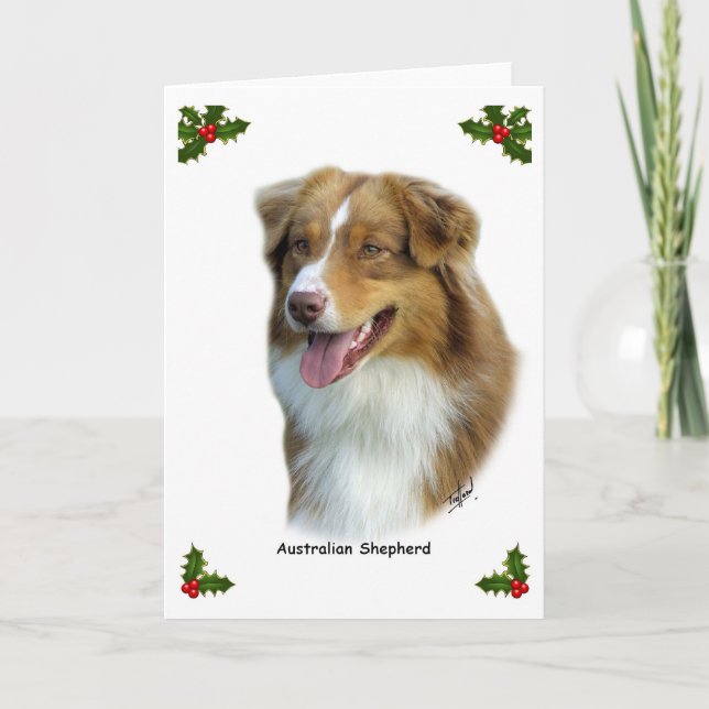 Australian shepherd 9K4D-16 Helgkort (Framsida)