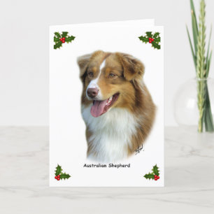 Australian shepherd 9K4D-16 Helgkort