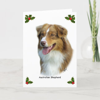 Australian shepherd 9K4D-16 Helgkort