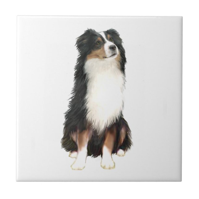Australian Shepherd (A) - Trefärgad Kakelplatta (Framsidan)