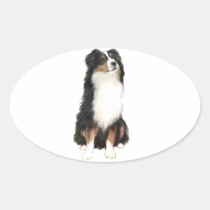 AUSTRALIAN SHEPHERD (A) - Tri Färg Ovalt Klistermärke