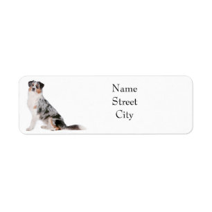 Australian shepherd-adressetikett returadress etikett