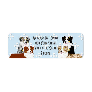 Australian shepherd-adressetikett returadress etikett