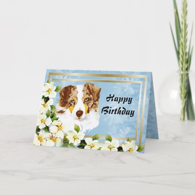 Australian shepherd Anpassningsbar Grattis på föde Kort (Framsida)