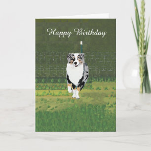 Australian shepherd Anpassningsbar Grattis på föde Kort