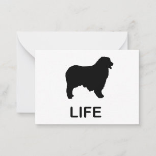 australian shepherd anteckningskort