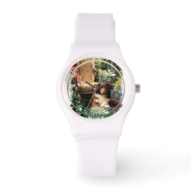 Australian shepherd Art Armbandsur (Framsida)