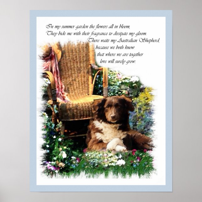 Australian shepherd Art-utskrift Poster (Framsidan)