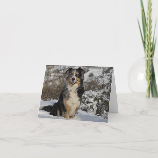 Australian shepherd Aussie Hund Hej Kärlek Kort (Framsida)