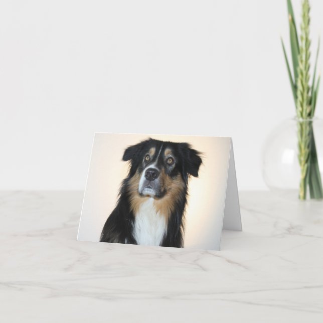 Australian Shepherd Aussie Hund Hej Kärlek Kort (Framsida)