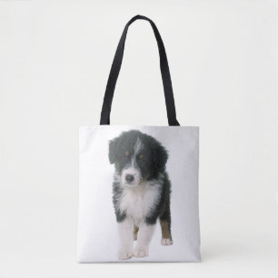 Australian shepherd Aussie Puppy Hund Tygkasse