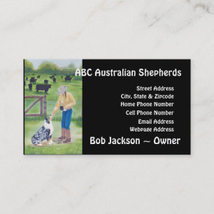 Australian shepherd, "avsluta målning som av för visitkort