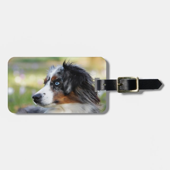 australian shepherd bagagebricka (Horisontell Framsida)