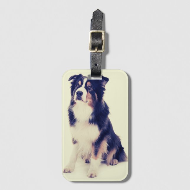 Australian Shepherd Bagagebricka (Framsida vertikal)