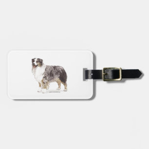 australian shepherd bagagebricka