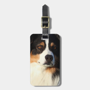 Australian shepherd bagagebricka