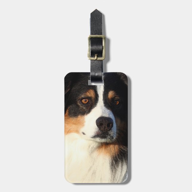 Australian shepherd bagagebricka (Vertikal Framsida)