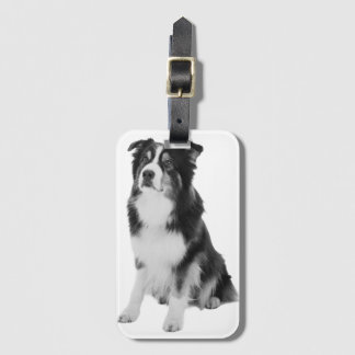 Australian Shepherd Bagagebricka