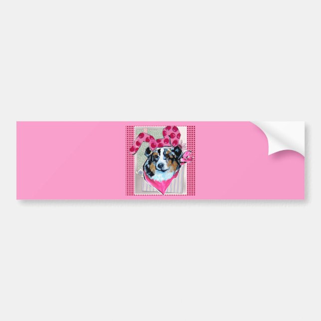 AUSTRALIAN SHEPHERD BILDEKAL (Framsidan)