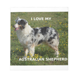 australian shepherd blå marmelad kärlek med pipa anteckningsblock