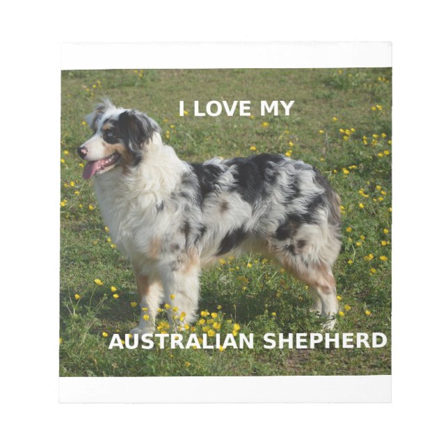 australian shepherd blå marmelad kärlek med pipa anteckningsblock (Framsida)