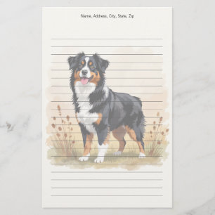 Australian shepherd Black Tricolor Aussie Hund Brevpapper