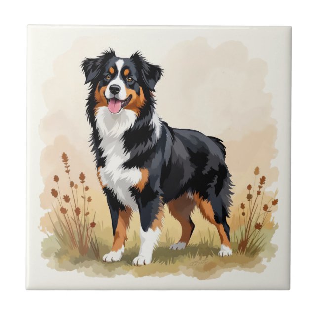 Australian shepherd Black Tricolor Aussie Hund Kakelplatta (Framsidan)