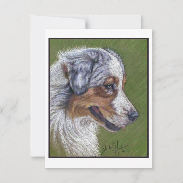 Australian shepherd, Blue Merle Anteckningskort (Framsida)