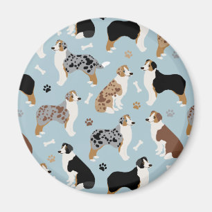 australian shepherd Bones och Tass Magnet