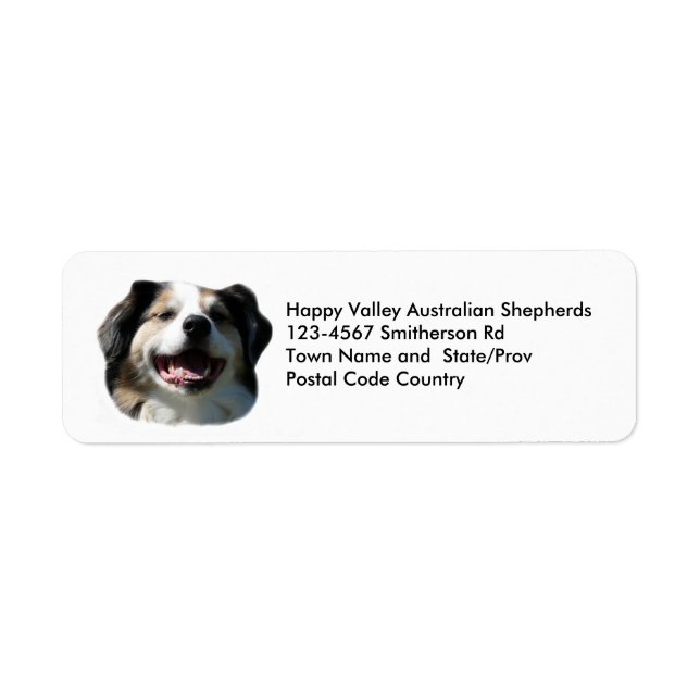 Australian shepherd Breeder Sticker Returadress Etikett (Framsidan)