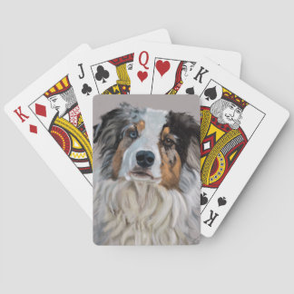 australian shepherd casinokort