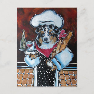 AUSTRALIAN SHEPHERD CHEF VYKORT